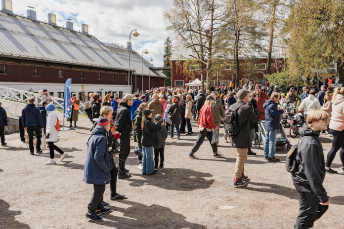 Viikin lehmät